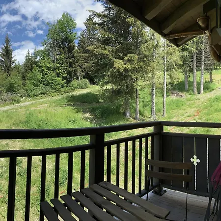 Les 7 Laux Immobilier E Apartament Prapoutel