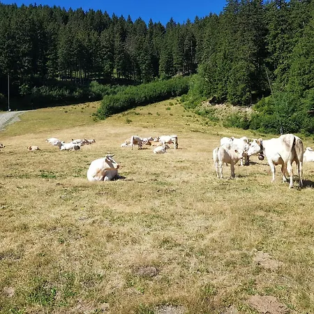 Lejlighed Les 7 Laux Immobilier E *